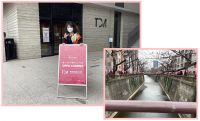 今日は東京音大　春のオープンキャンパス。私は無料体験レッスンというセッションで、海外の方も含めて４名担当させて頂きました。1人20分という短いレッスン枠ではありましたが、少しでもお役に立つことが出来たならばうれしいです。写真は中目黒駅からキャンパスへ向かう途中で渡る目黒川。もうまもなく訪れる桜の季節には両岸が桜で一杯になります。