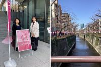 今日は東京音大　春のオープンキャンパスでした。私は専攻別イベントと無料体験レッスンを担当させて頂きました。専攻別イベントでは、4名の在学生にお願いしてドニゼッティのオペラ「ランメルモールのルチア」からワンシーン、また有名ミュージカルからワンシーンを演奏して頂き、あわせて東京音大のオペラ実習や合唱授業、学生生活について感じていることなどをインタビュー形式でお話しして頂きました。右側の写真は中目黒駅からキャンパスに向かう途中の目黒川、都内有数の桜の名所の一つです。あと数日で開花、１週間後には満開でしょう。