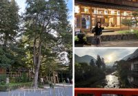 今年も奈良県吉野の山奥、天川村の天河神社（天河大弁財天社）にお参りに行って来ました。音楽と芸能の神様が祀られている神社です。前泊したのは天川村の洞川（どろがわ）温泉。大正時代にタイムスリップしたかのような古い町並みが印象的です。